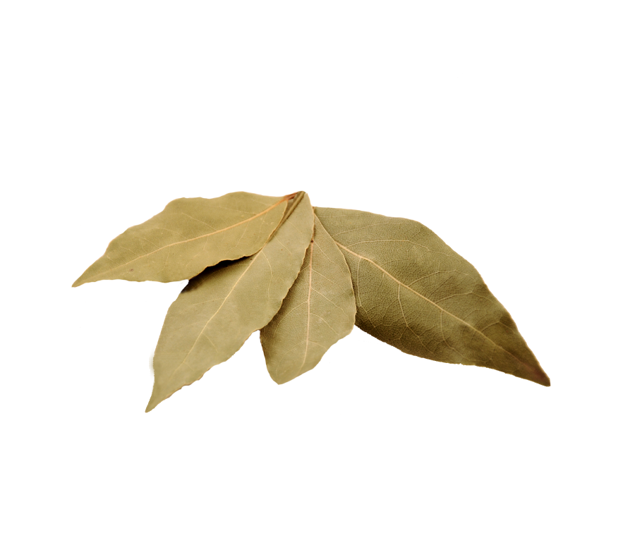 Bobkový list celý