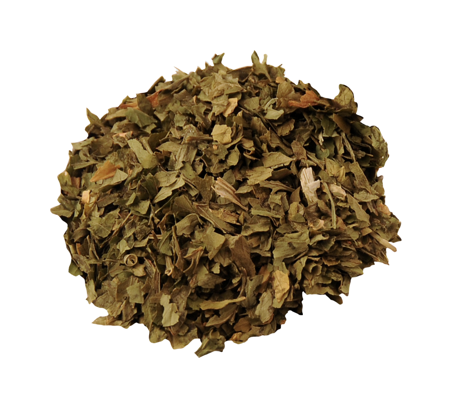 Petržel